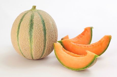Melone-cantalupo.jpg